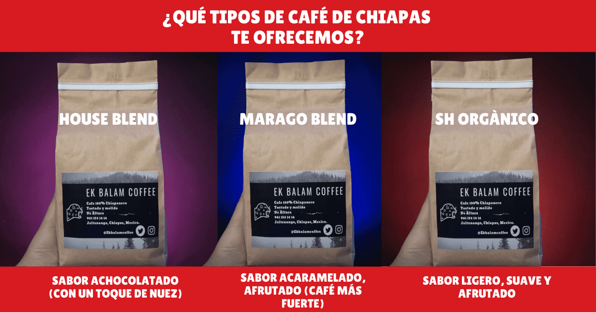 Tipos de Café de Chiapas Baja California